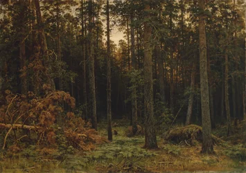 Pinewood, 1885