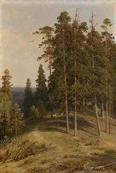 Tallskogen, 1895