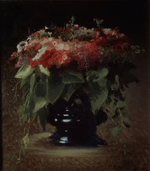 Blombukett. Flox, 1884