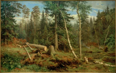 I. I. Sjisjkin, Skogsavverkning