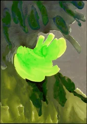 Kensington Gardens Series: Leaf Cascade, 2007 (mixed media på papper)