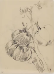 Frukter