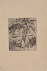 Palm vid havet