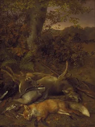 Vildskott