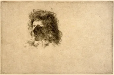 A Huvud