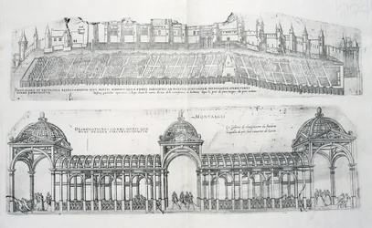 Utsikt över Montargis, från "De vackraste byggnaderna i Frankrike", publicerad 1570-talet