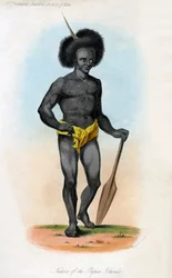 Infödd på Papuaöarna, c1840.