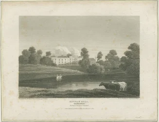 Enville Hall: gravyr, nd [c 1814] (tryck)