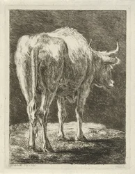 Ko i ett landskap