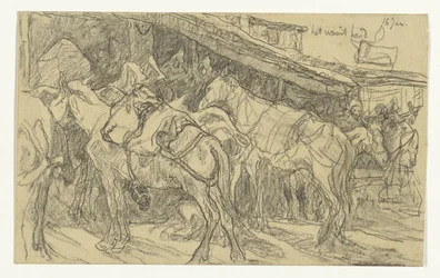 Mulor och åsnor på Grand Place i Tanger