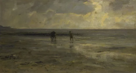 Strand på kvällen