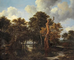 Skogbevuxet våtmarkslandskap med dött träd, ca 1665