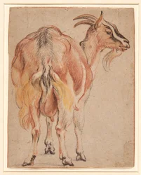 Get, ca 1657 (krita & tvätt förhöjd med vitt)