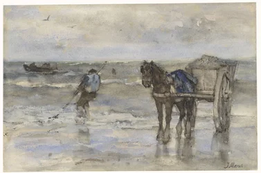 Skalfiskare på stranden