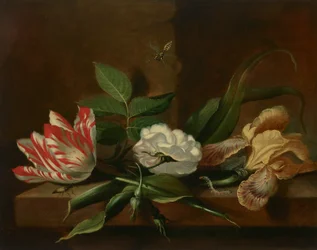 En papegojtulpan, en ros, en iris och insekter på ett träbord