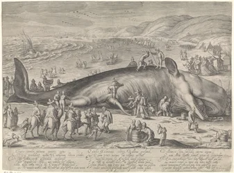 Val strandade vid Berckhey, 1598