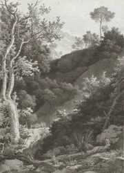 Skogbevuxen bergssida