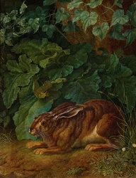 Tyska: Hare i buskarna