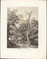 Inträde i Marino-skogen