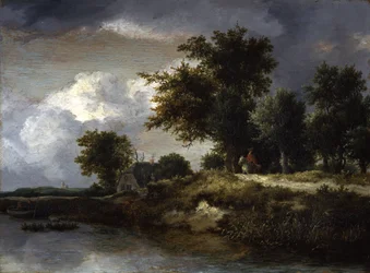 En skogsklädd flodbank