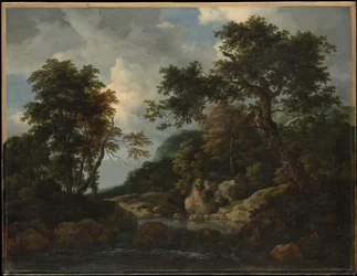 Skogsbäcken