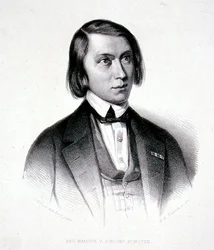 Porträtt av Josephus Hermanus Verhulst (1816-91) (gravyr)