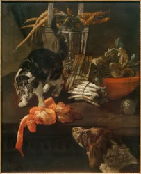 Köksbit med hund och katt