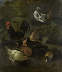 En tupp, hönor, duvor och ett murmeldjur