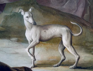 Hund, detalj från fresk av Jacopo Guarana (1720-1808), centralhallen i Villa Contarini, Valnogaredo, Veneto, Italien