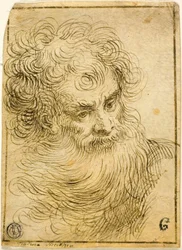 Head of Bearded Old Man (recto); Dekorativ skiss av blommor och löv (verso)