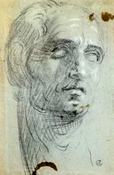 Manligt huvud av Jacopo Robusti känd som Tintoretto (1518-1594), teckning