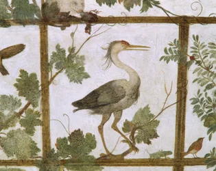 Ibis, från en fresk av en voljär i Villa Medici, ca 1576-77