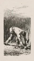 Skördeman