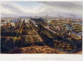 Utsikt över Jardin des Plantes - litografi av Testard