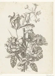 Bukett med pioner, en tulpan och en brodiaea Diverse Fleurs mises en Boucquets (serietitel)