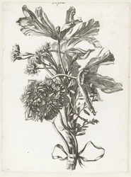 Bukett med bleka tulpaner, en anemon och odödligheter Diverse Fleurs mises en Boucquets (serietitel)