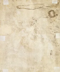 Studie av ett ben, blomstra och doodles, 1610-17