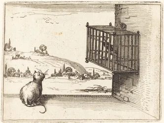 Katt som tittar på burfågel
