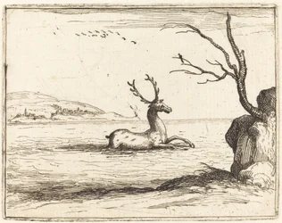 Stag i vattnet, 1628.