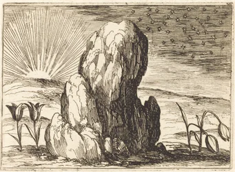 Tulpanerna och solen, 1628.