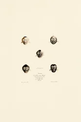 Jämförelse av ansikten hos olika aparter