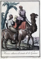 Morer på väg till handeln med gummi - i ”Resornas encyklopedi” av Grasset St Sauveur, utg. 1796