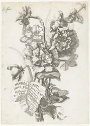 Titelsida med en bukett pioner, från Diverses Fleurs mises en Bouquets, ca 1670
