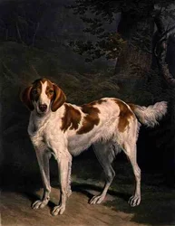 Dash, graverad av Charles Turner (1773-1857), pub. av R. Ackermann Jnr. (mezzotint gravyr)