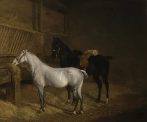 En grå ponny och en svart stridshäst i ett stall