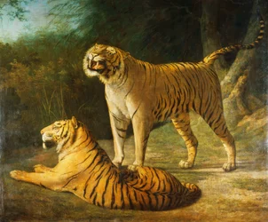 En tiger och tiger vid Exeter "Change Menagerie 1808, 1808
