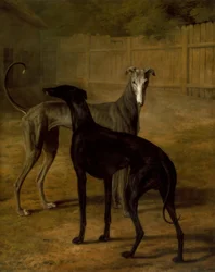 Rolla och Portia
