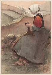Hedblomma, 1897.