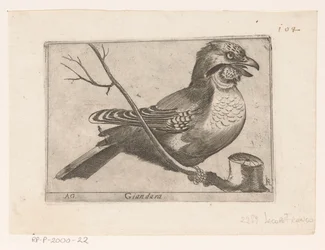 Jay (Garrulus glandarius) Giandara (titel på objekt) Fåglar (serietitel)