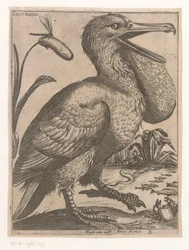 vattenfågel Sacco Marino (titel på objekt) Nine Birds (serietitel)